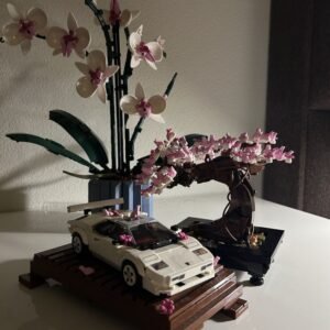 BONSAI TREE